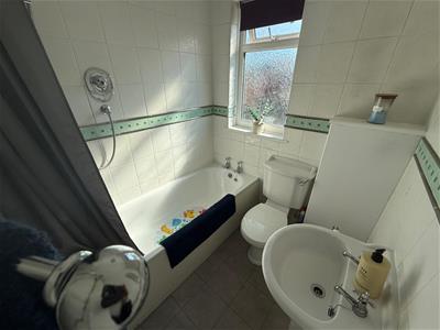 Picture 10